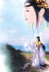 寨主的小情人